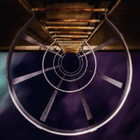 Dark Gold MT4 logo
